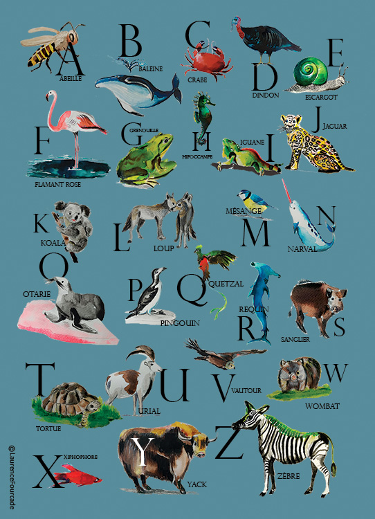 affiche d'animaux illustrés à l'aquarelle alphabet des animaux